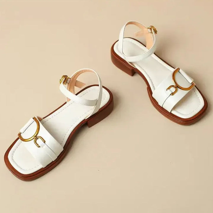 Celina City Flats