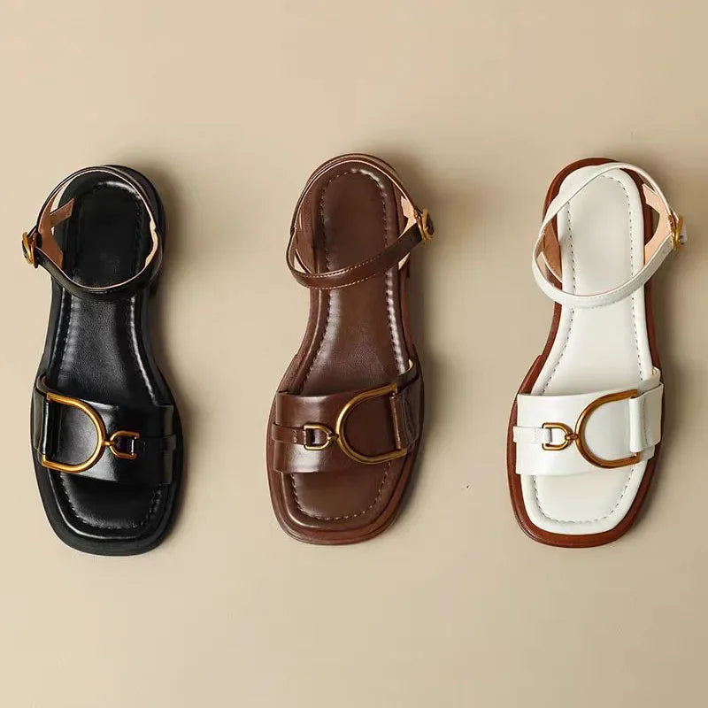 Celina City Flats