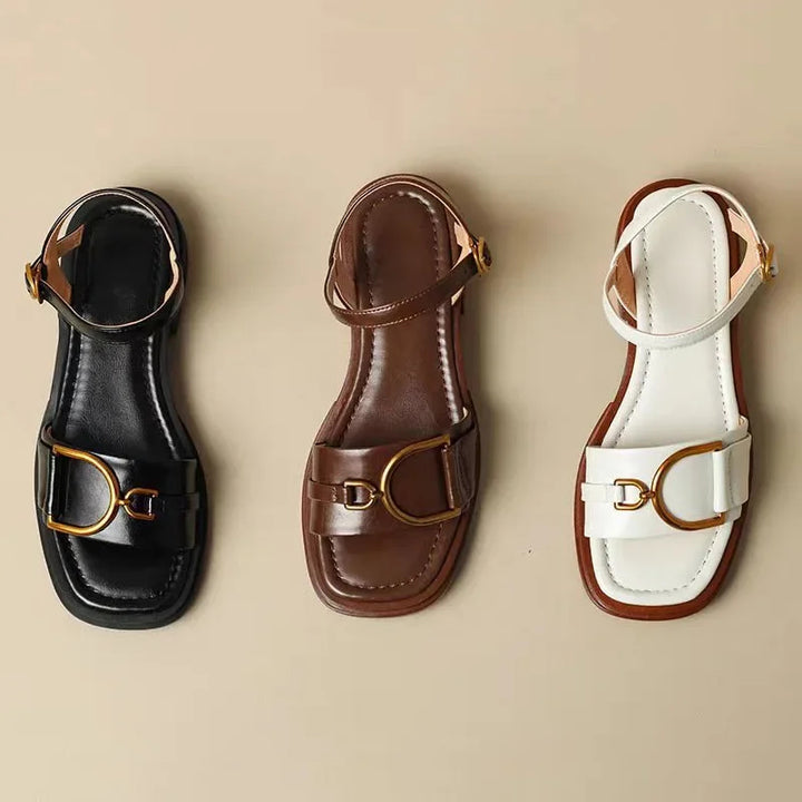 Celina City Flats